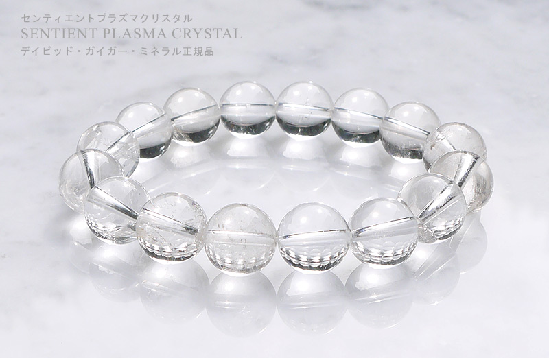 センティエントプラズマクリスタル - 天恵の花