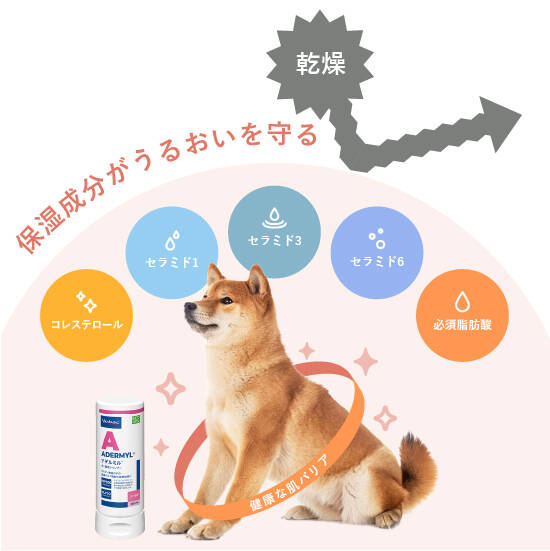 アデルミル® 250mL