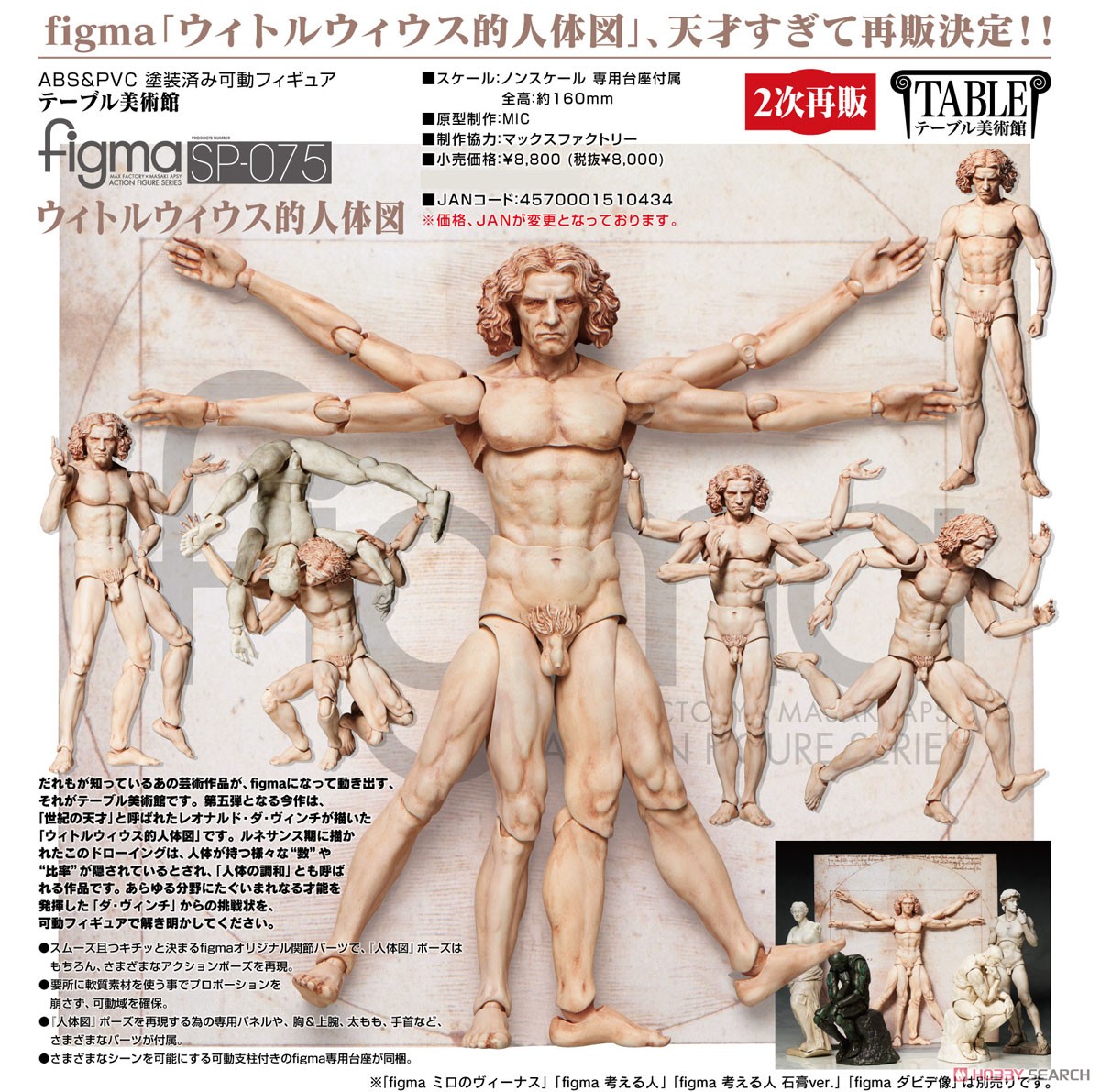figma ウィトルウィウス的人体図 (フィギュア) - ホビーサーチ フィギュア