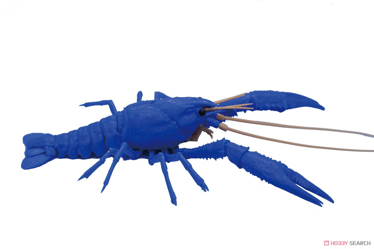 いきもの編 アメリカザリガニ (ブルー) (プラモデル) - ホビーサーチ