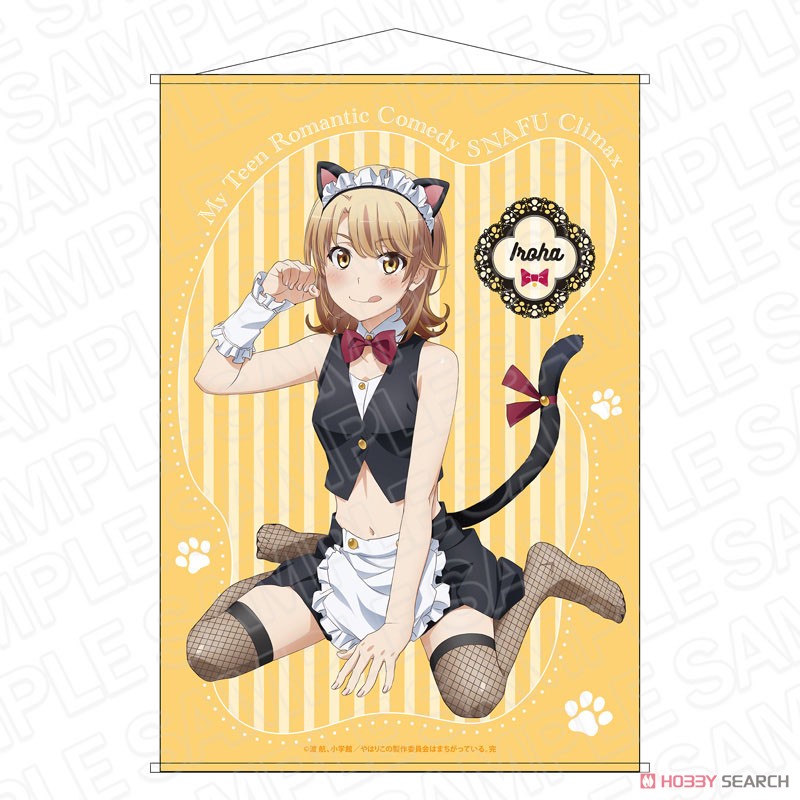 Amazon.co.jp: やはり俺の青春ラブコメはまちがっている。続 一色