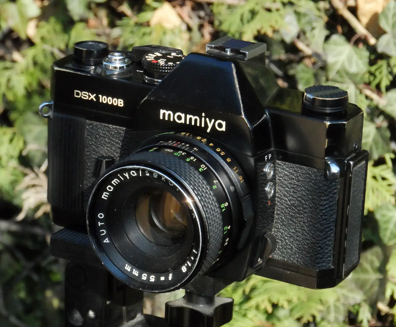 Mamiya DSX 1000B Review - 35mmc