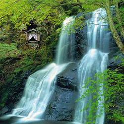 県立自然公園｜四十八滝温泉 しぶきの湯 遊湯館