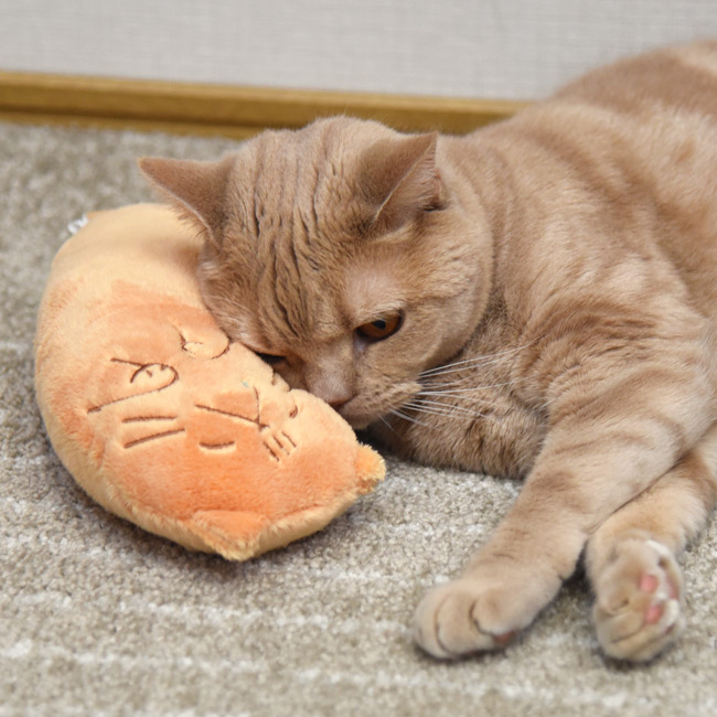 ヤンデレ化け猫ちゃん ネネ もみまくらカバー 160cm×50cm ヤンデレ化け