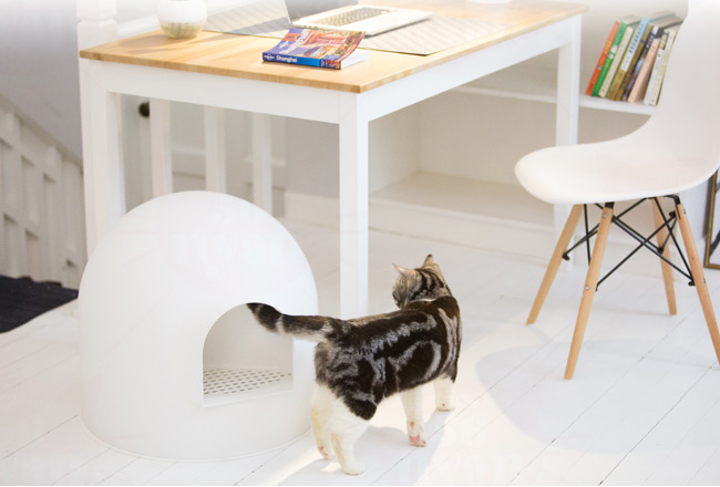 pidan ピダン 猫用トイレ スノードーム型 ホワイト (31336)【メーカー