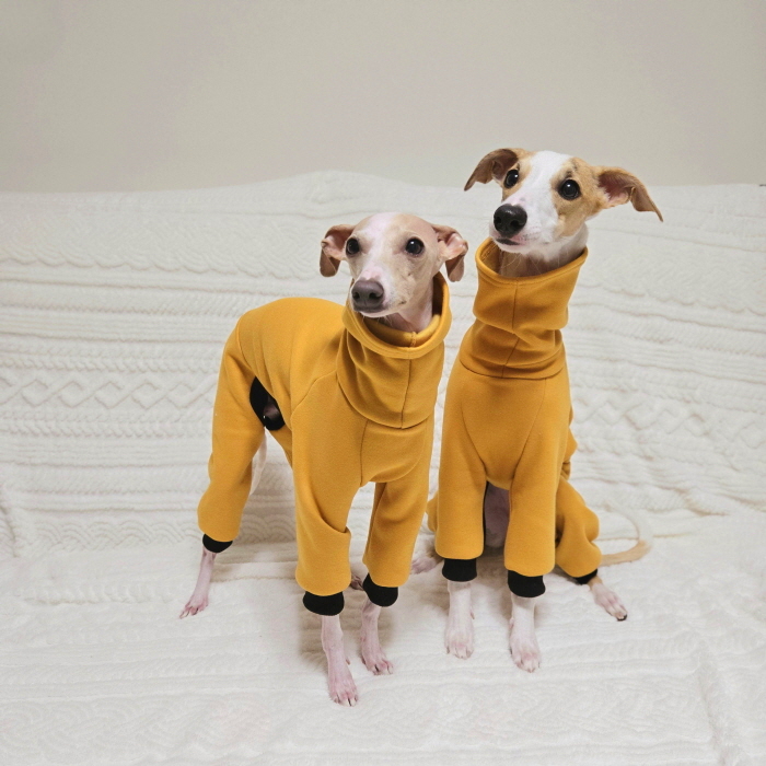 黄色い袖のロンパース イタグレ服 犬服 ハンドメイド 【公式通販】