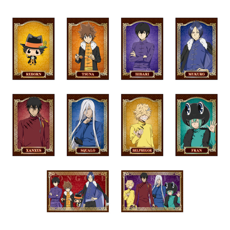 家庭教師ヒットマンREBORN ステータスカードコレクション 未開封 15個