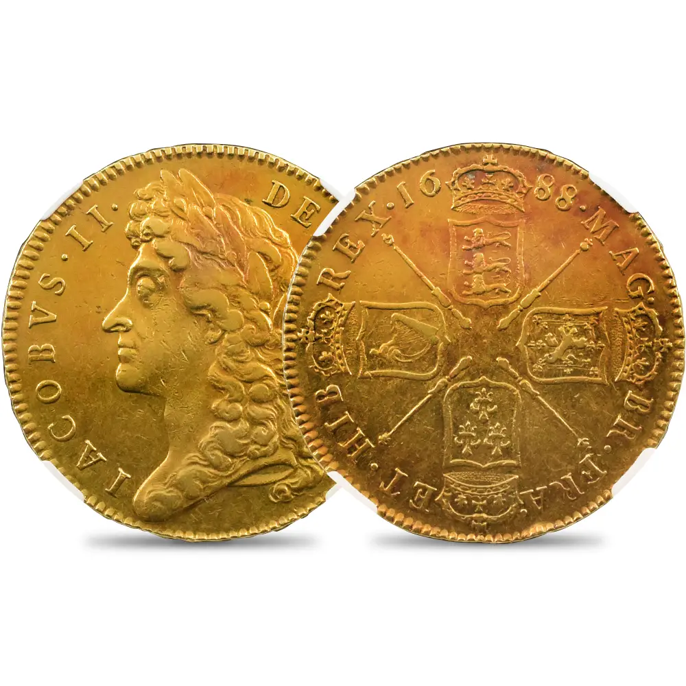 1688 ジェームズ2世 5ギニー金貨 NGC XF45 S-3397A | 英国アンティーク