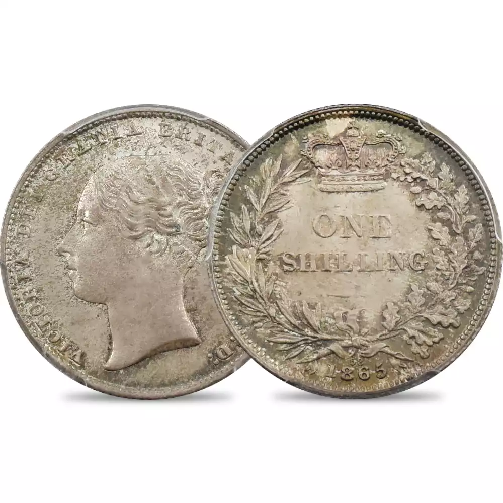 ヴィクトリア女王 香港1ドル銀貨 1865 実測26.62g ヴィクトリア女王