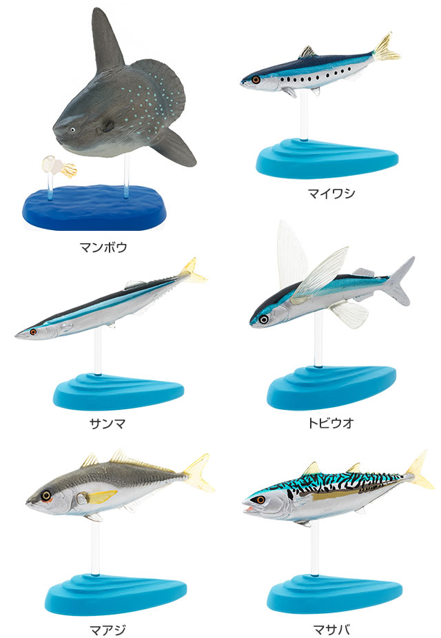 動物 生物 立体図鑑 ソルトウォーターフィッシュ デラックスボックス