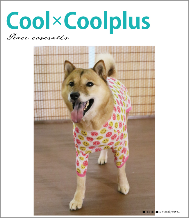 熱中症対策】【在庫限り】犬介護 クークチュール クール×クールプラス