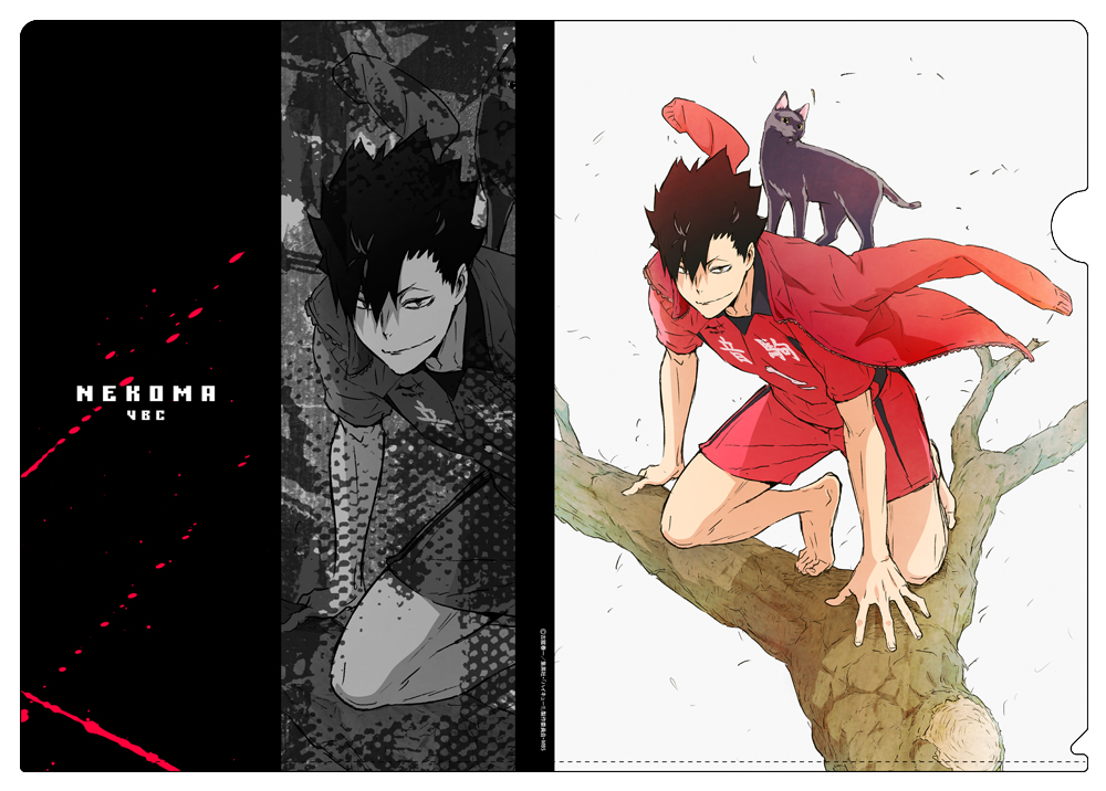 ハイキュー アクリルタイル 黒尾鉄朗 影山飛雄 描き下ろし 黒尾鉄朗