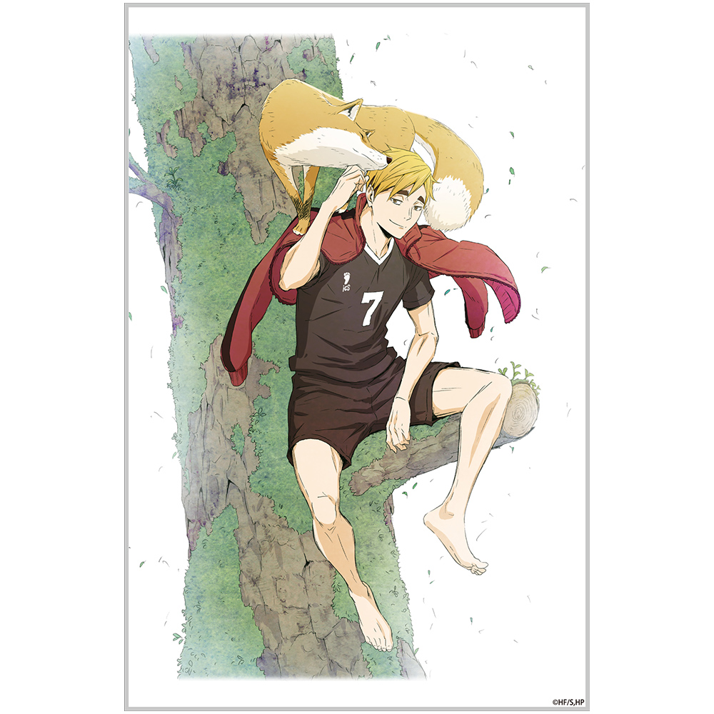 ハイキュー 宮治 宮侑 クロニクル フォトカード 100枚 ハイキュー 宮治