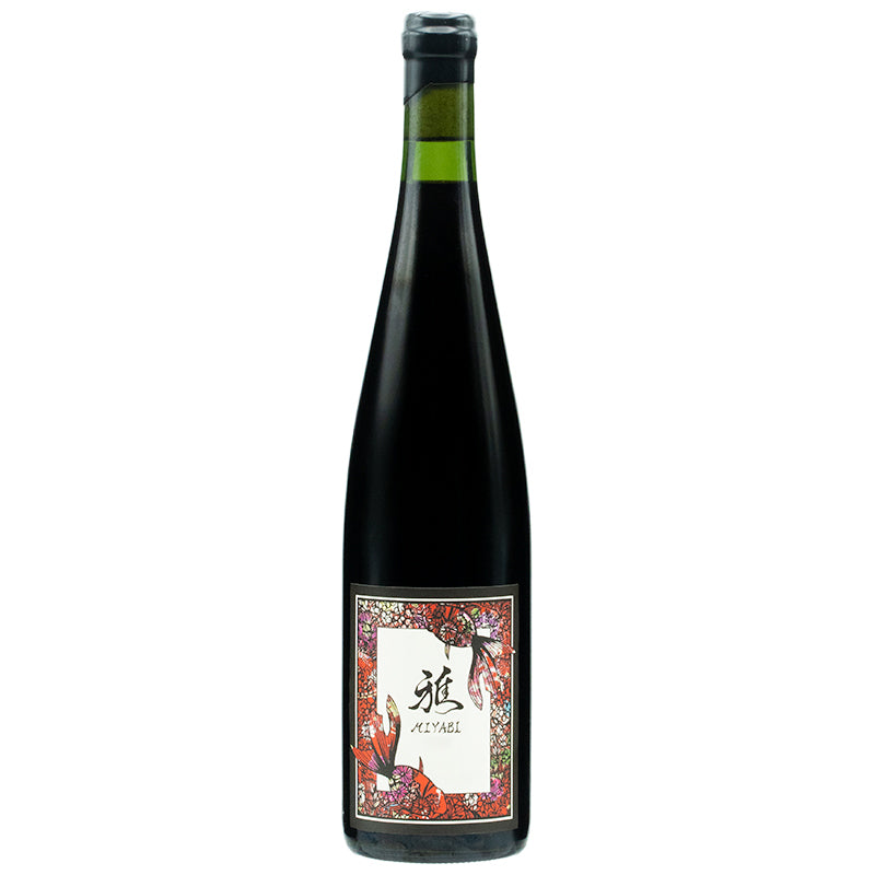 2915348430168.jpg?v=1705106965