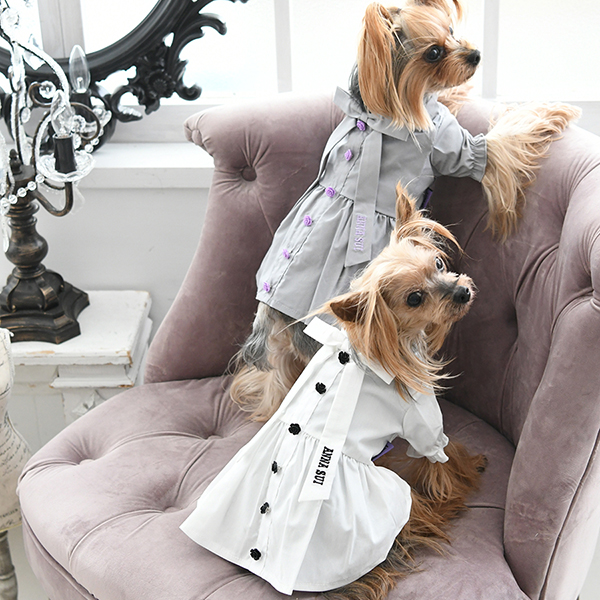 パピー・超小型犬用】ANNA SUI（アナ スイ）リボンタイシャツ
