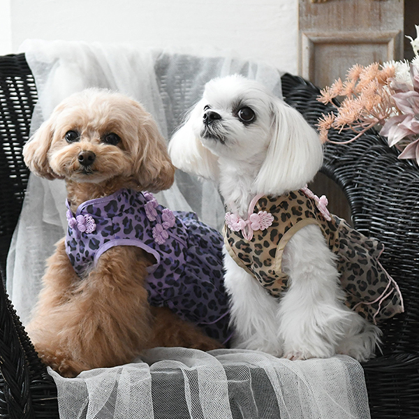 ANNA SUI（アナ スイ）ヒョウ柄チャイナワンピース | 犬服・ドック