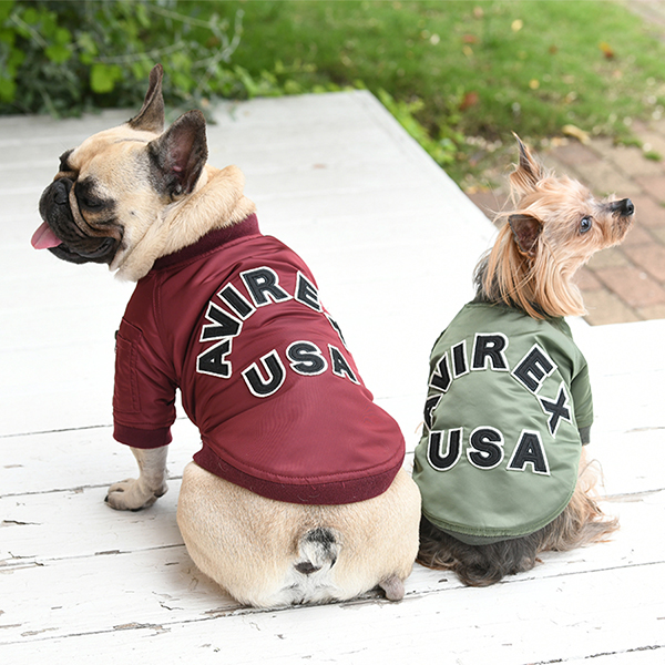 AVIREX（アヴィレックス）MA-1 ロゴ | 犬服・ドックウェアCalulu(カルル)