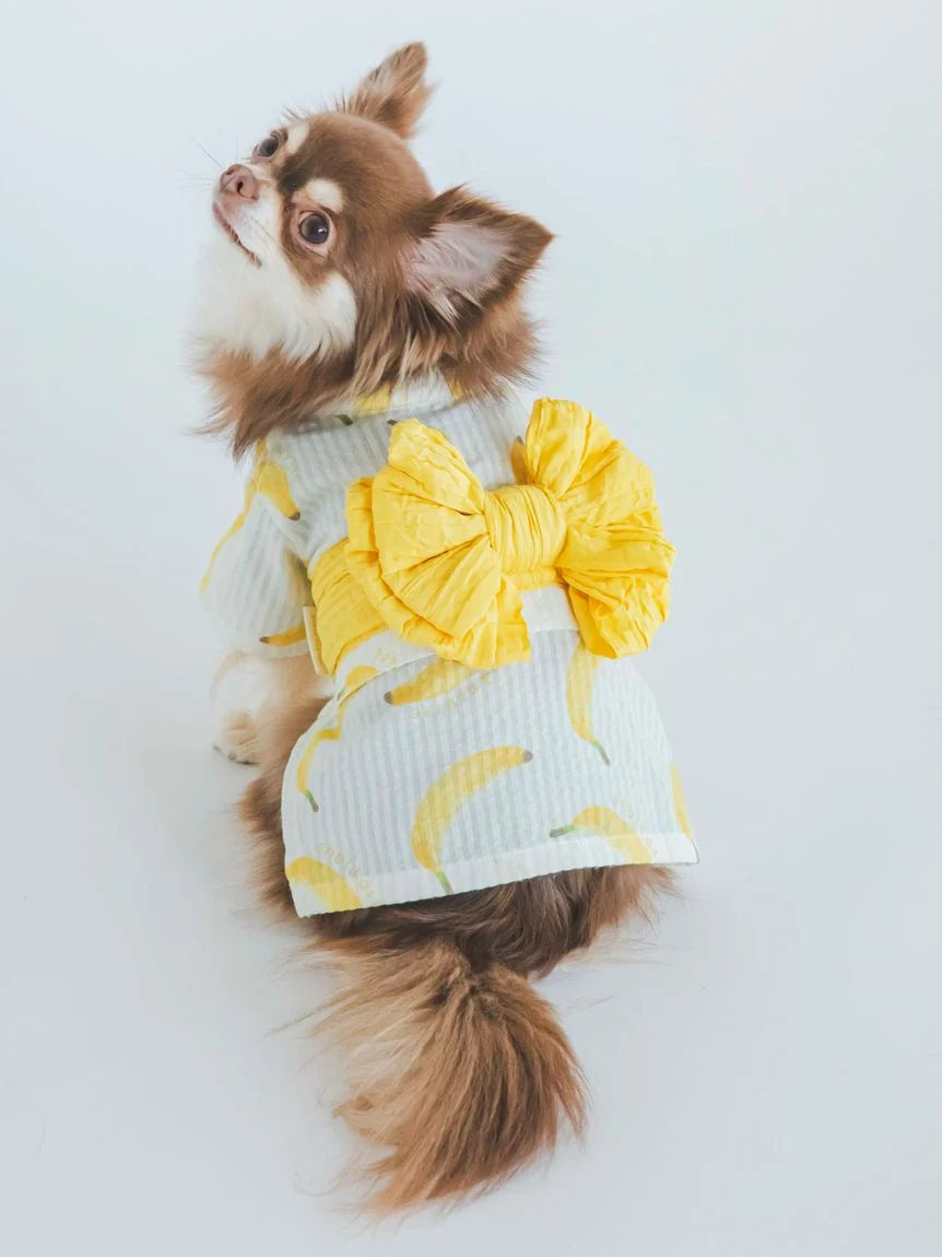 犬服ハンドメイド浴衣♡ここちゃん様♡⑥ 犬服ハンドメイド 洋服 浴衣 被布