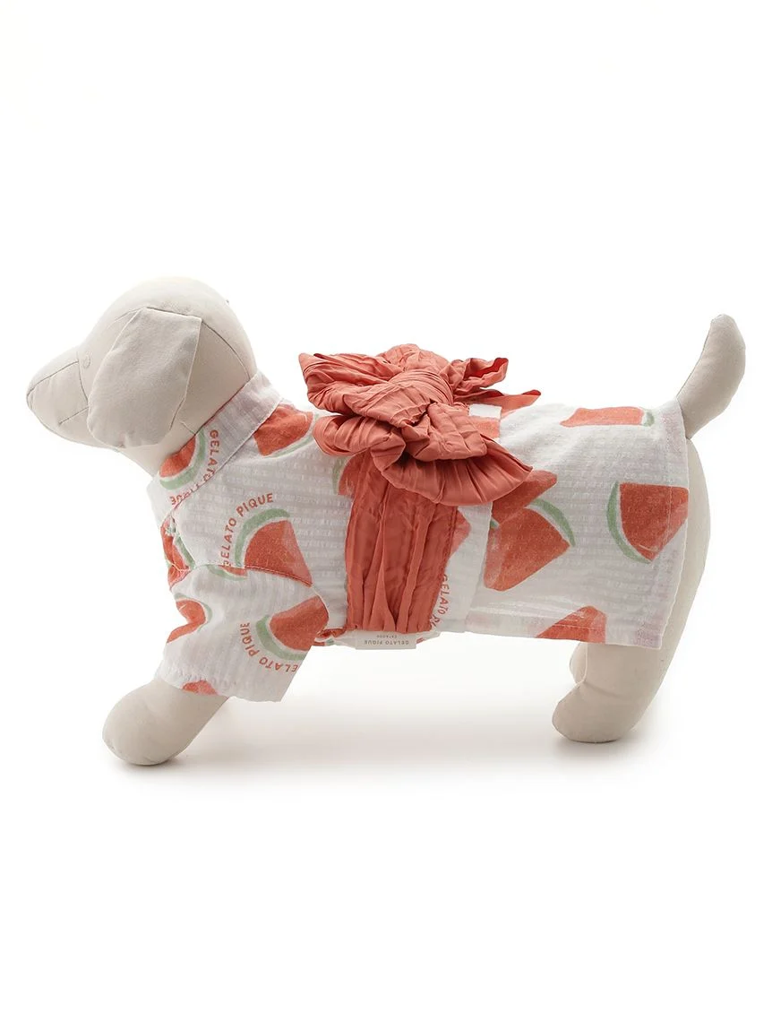 gelato pique（ジェラートピケ）【CAT&DOG】【販路限定商品】フルーツ