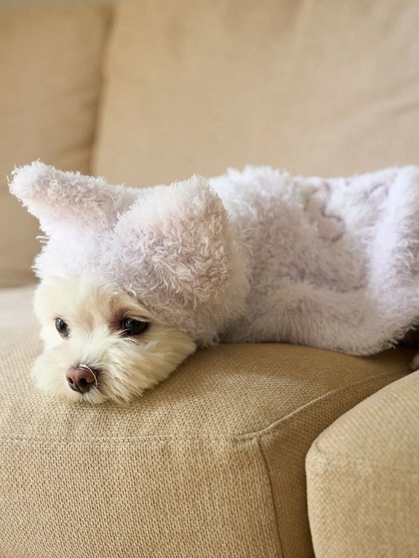 gelato pique（ジェラートピケ）【CAT&DOG】【販路限定商品】【PIQUE