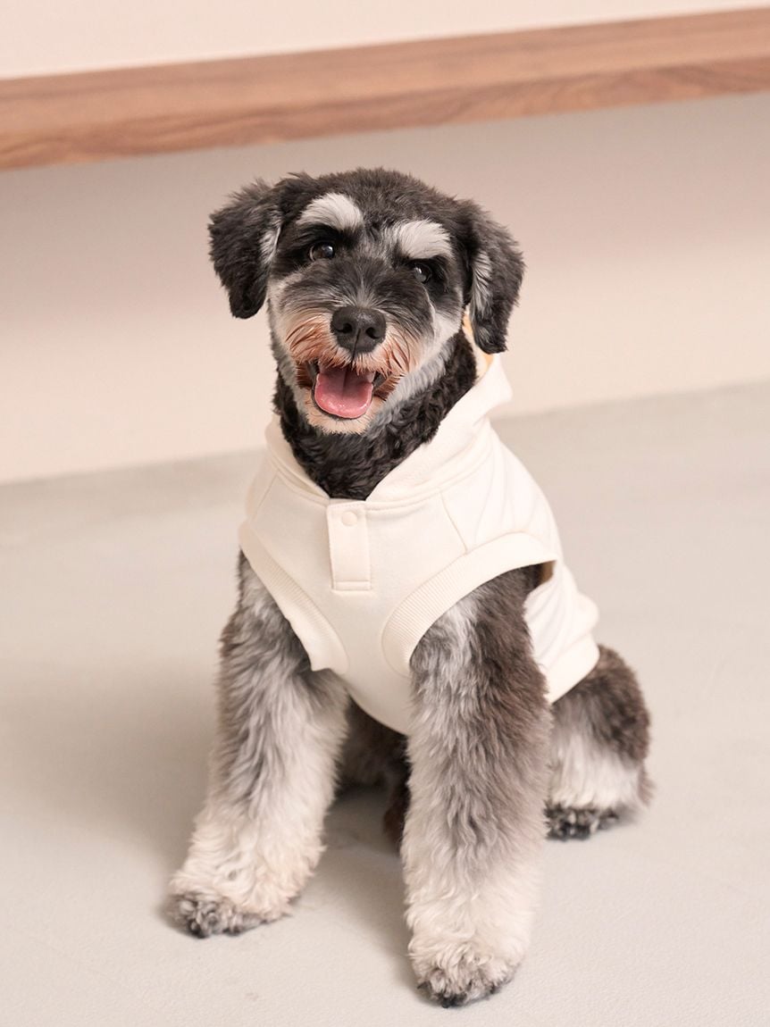 gelato pique（ジェラートピケ）【CAT&DOG】【販路限定商品