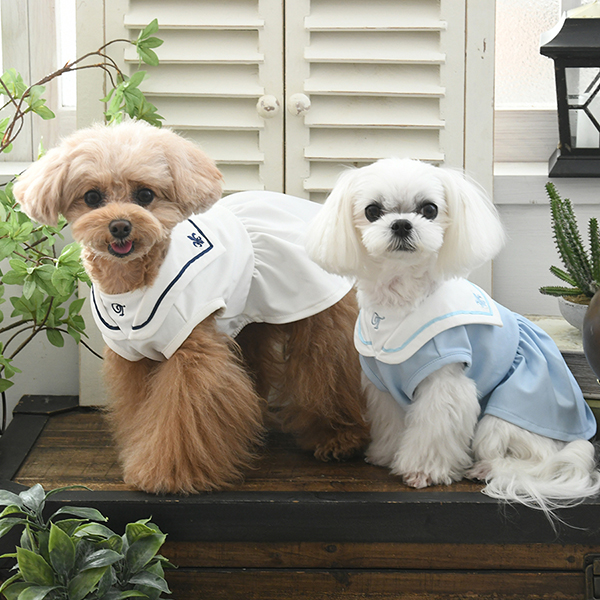 ONE OCTAVE（ワンオクターヴ）ミディカラーワンピ | 犬服・ドック