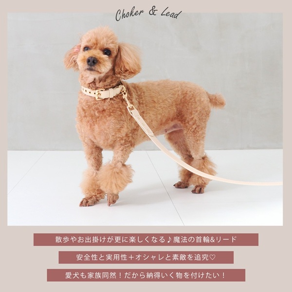 LOAR（ロア） エコレザー首輪｜全6色 | 犬服・ドックウェアCalulu(カルル)