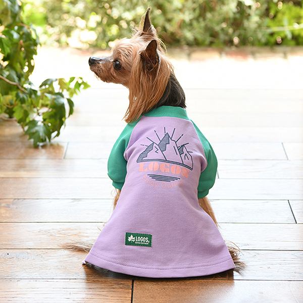 No.23 ハンドメイド犬服 ラグラン半袖Tシャツワンピース No.23