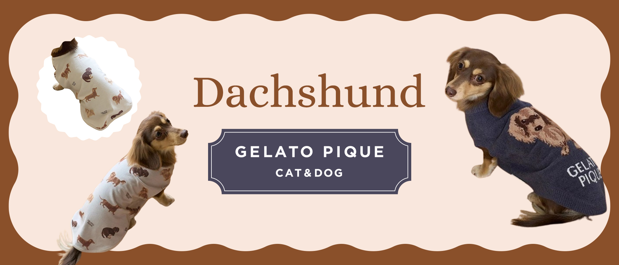 GELATO PIQUEダックスフンド