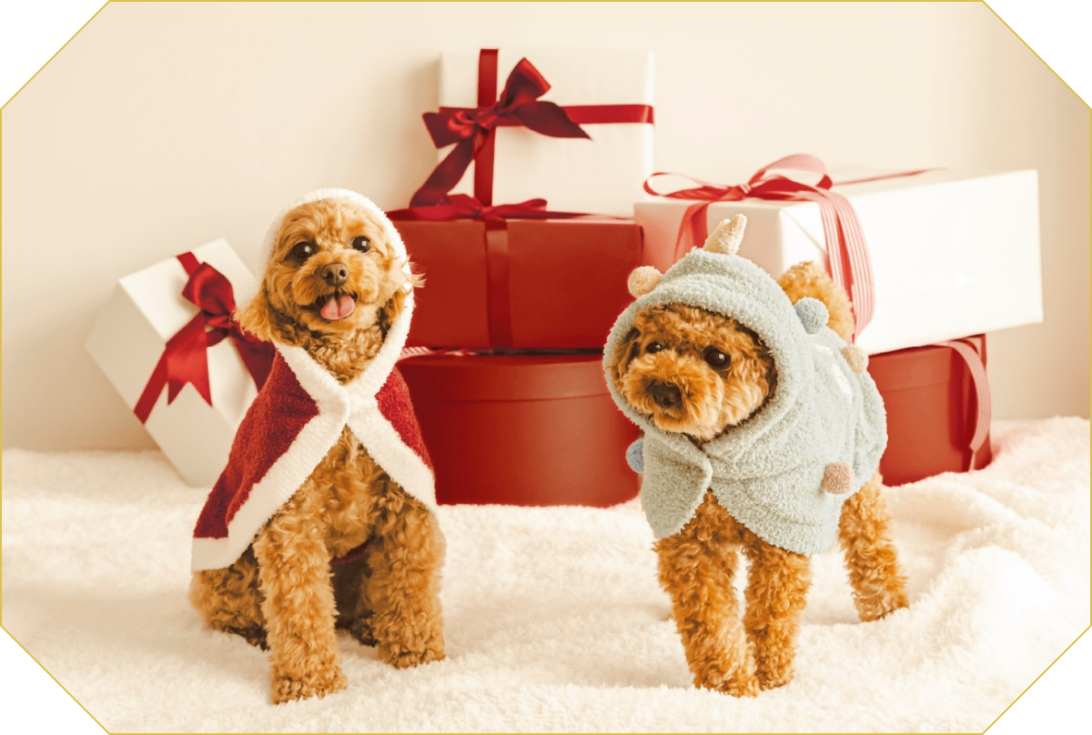 GELATO PIQUEホリデーシリーズ