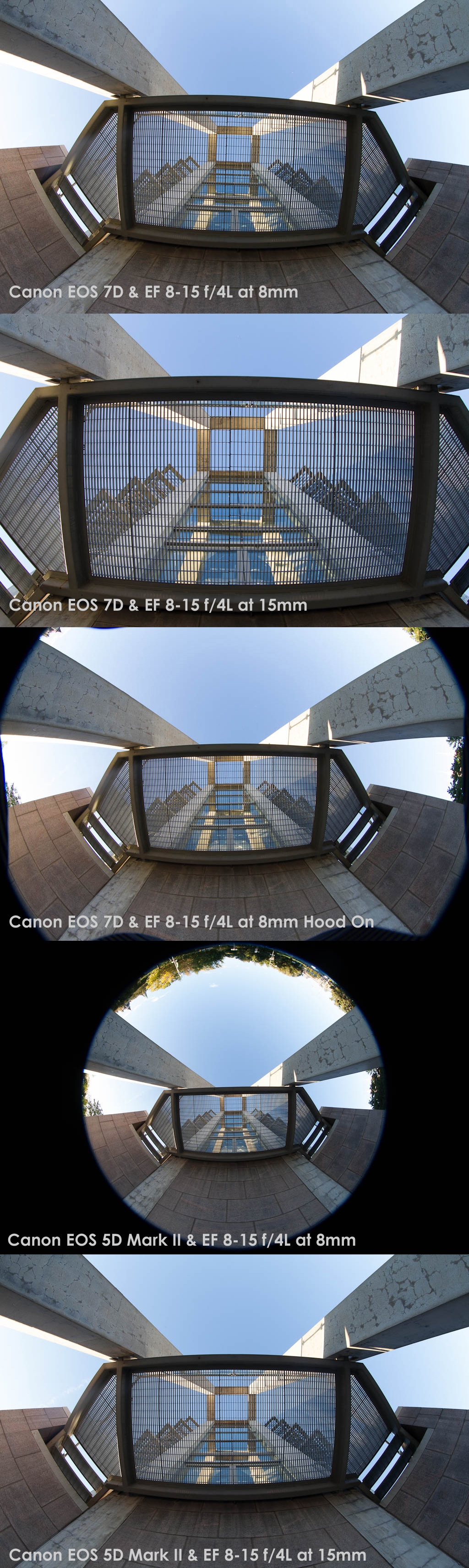 Review - Canon EF 8-15 f/4L Fisheye - Your Best Source for Canon