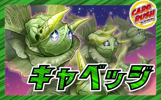 緑単キャベツ グランセクト 緑単キャベッジ 緑単キャベツ 緑単グラン