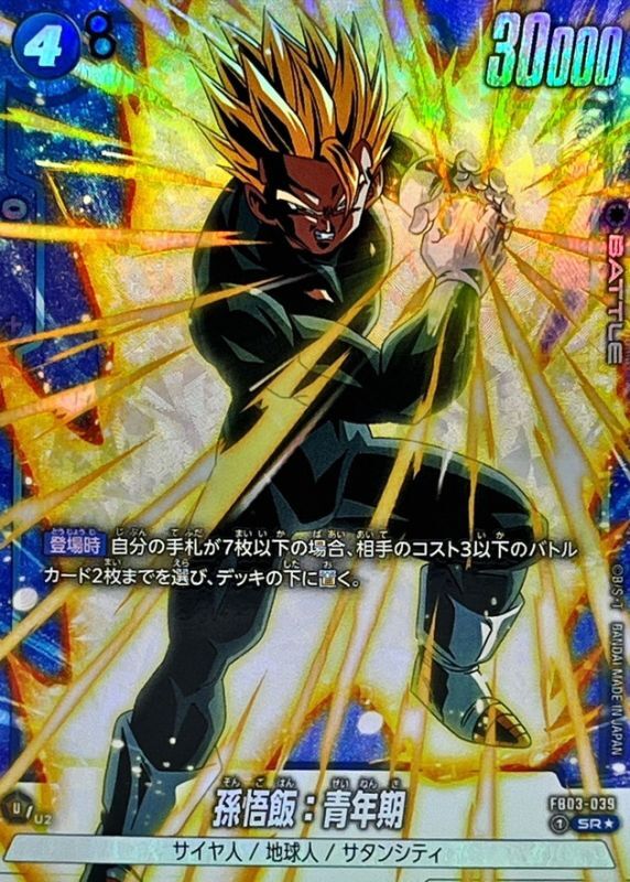激レア】30年ほど前に購入 ドラゴンボール カード ご飯 DRAGON BALL Z