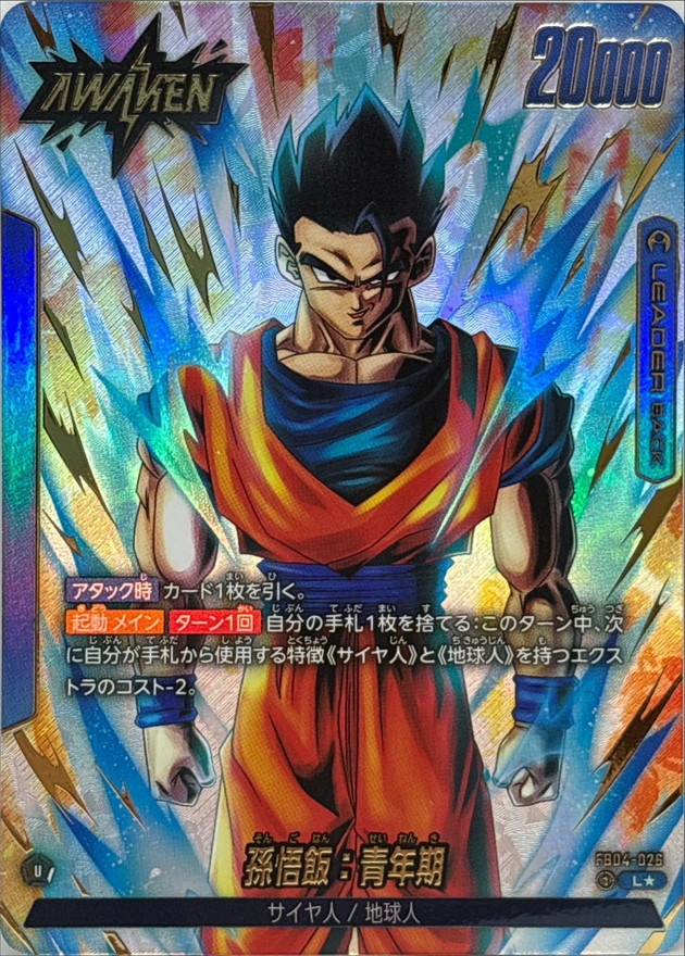 レア】ドラゴンボール Z 丸大食品 レトロカード まとめ売り 孫悟空 孫