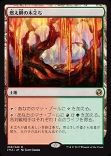 燃え柳の木立ち/Grove of the Burnwillows - カードラッシュ[MTG]