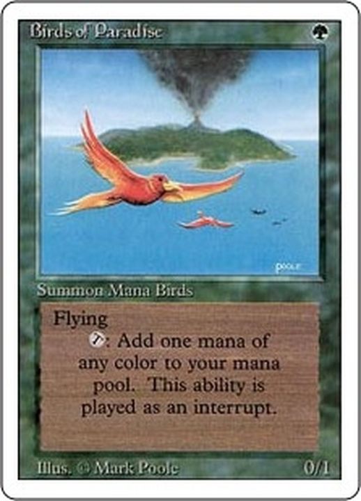 PSA9 MTG 英語極楽鳥Birds of Paradise 8版foil