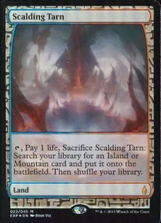 沸騰する小湖 霧深い雨林 乾燥台地 各1枚 英語版 mtg 沸騰