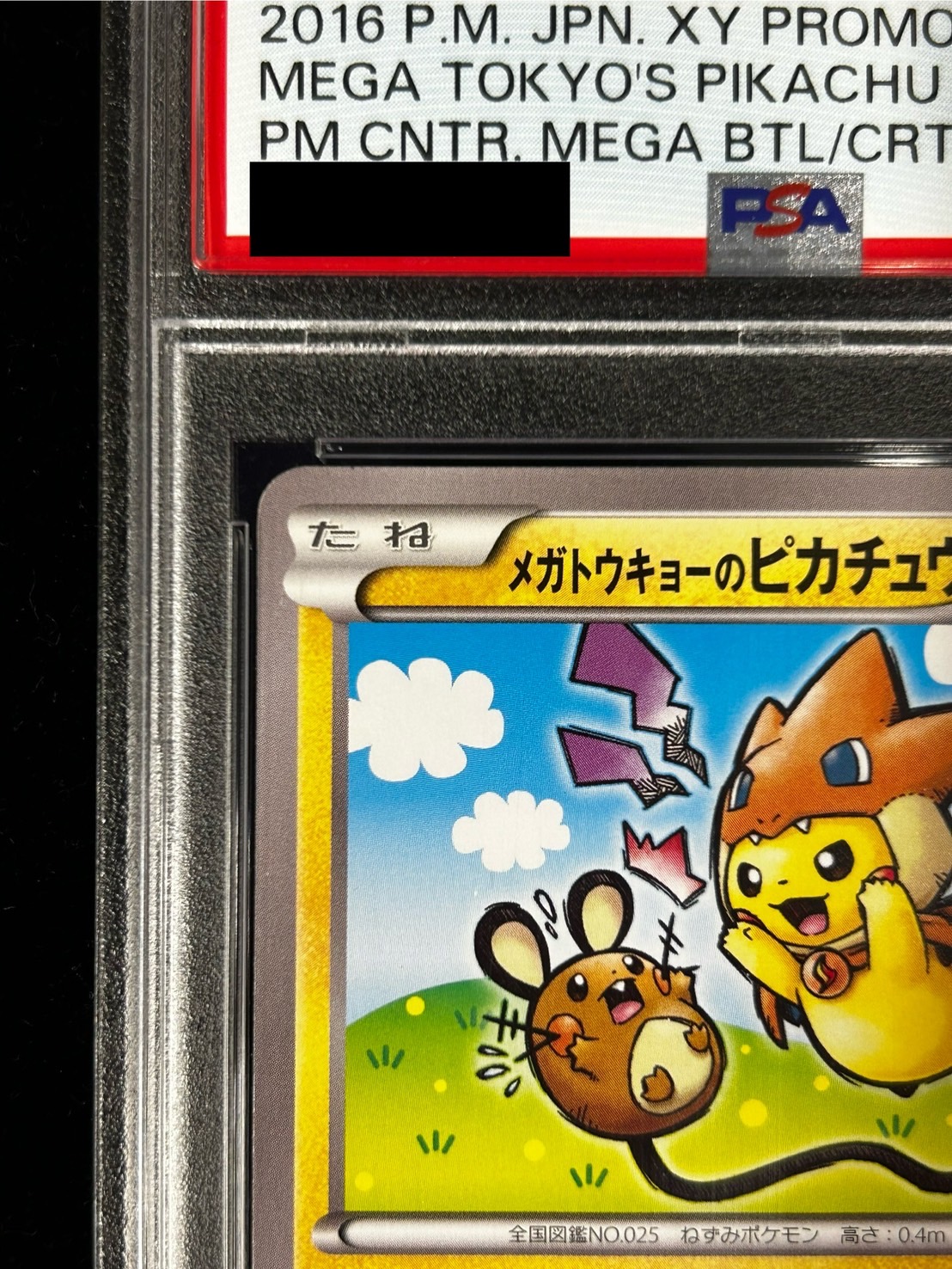 PSA9鑑定済〕メガトウキョーのピカチュウ【P】{204/XY-P}