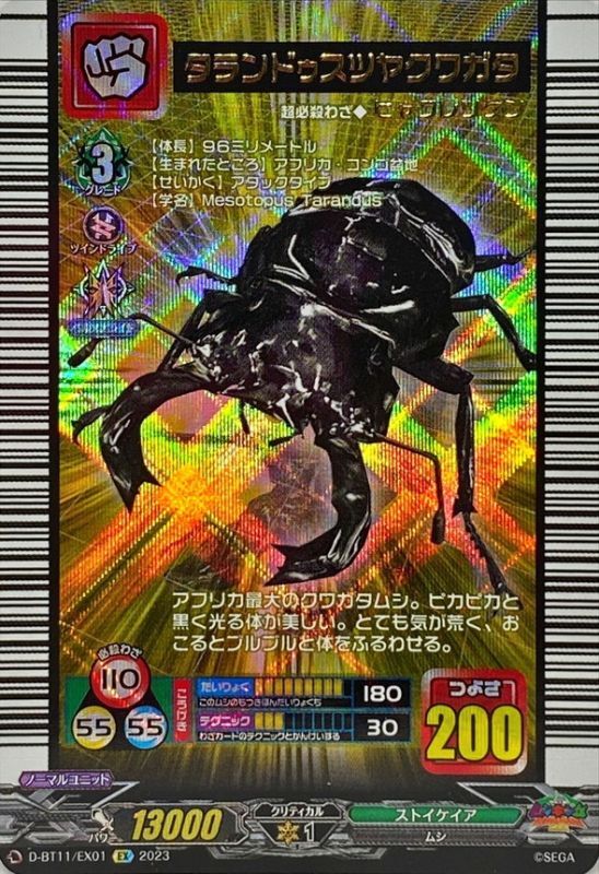 ムシキングタランドゥスツヤクワガタ