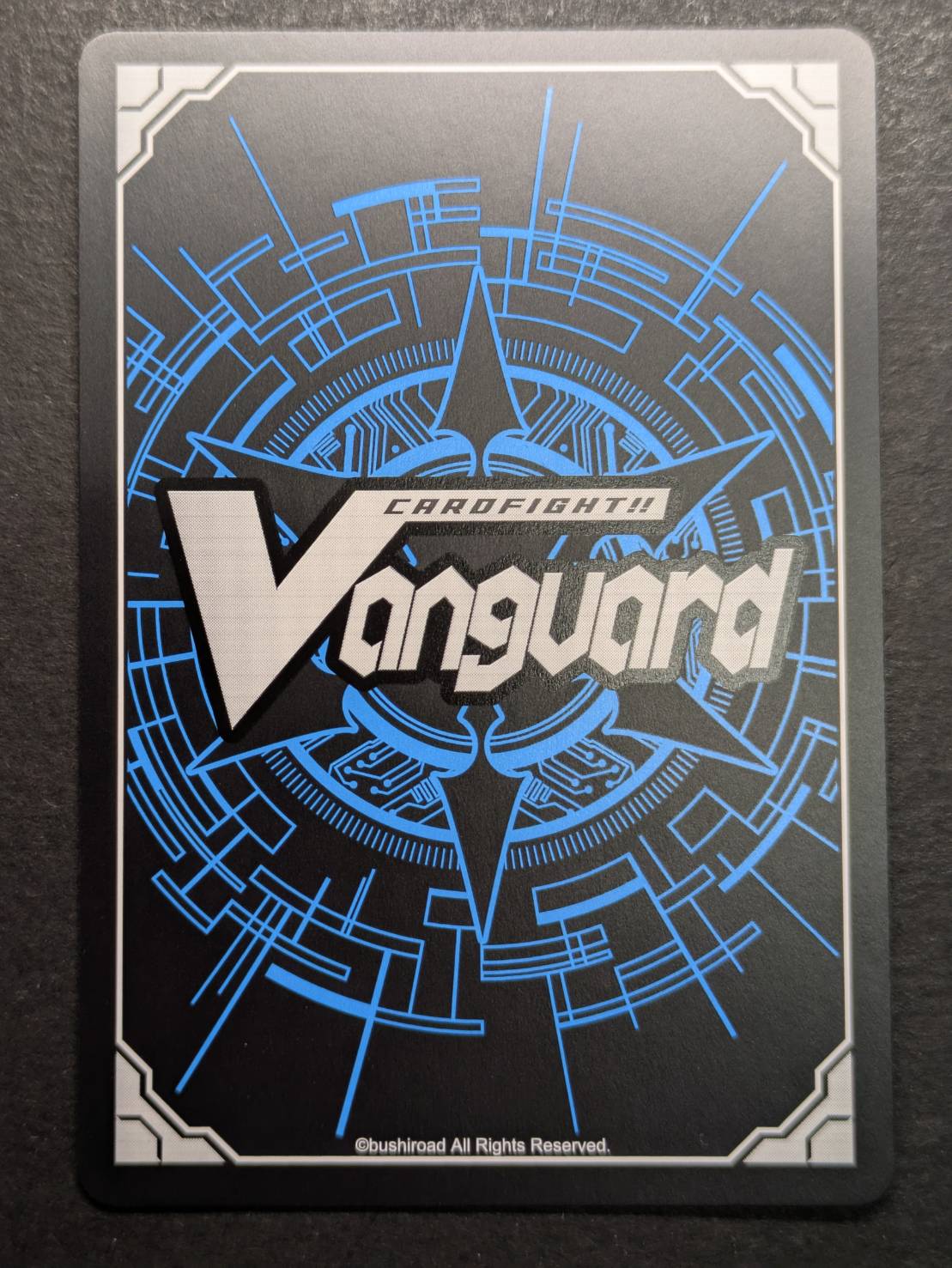 ヴァンガード プロテインバー 明星エリカ エネルギー 6枚セット ヴァン