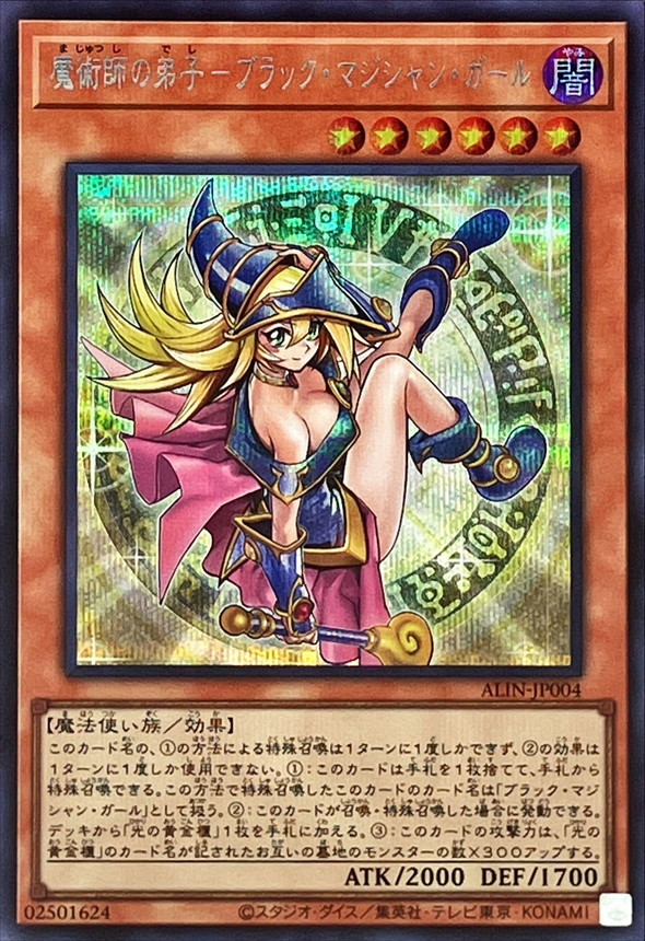 光の黄金櫃デッキ 魔術師の弟子-ブラック・マジシャン・ガール 山屋 光