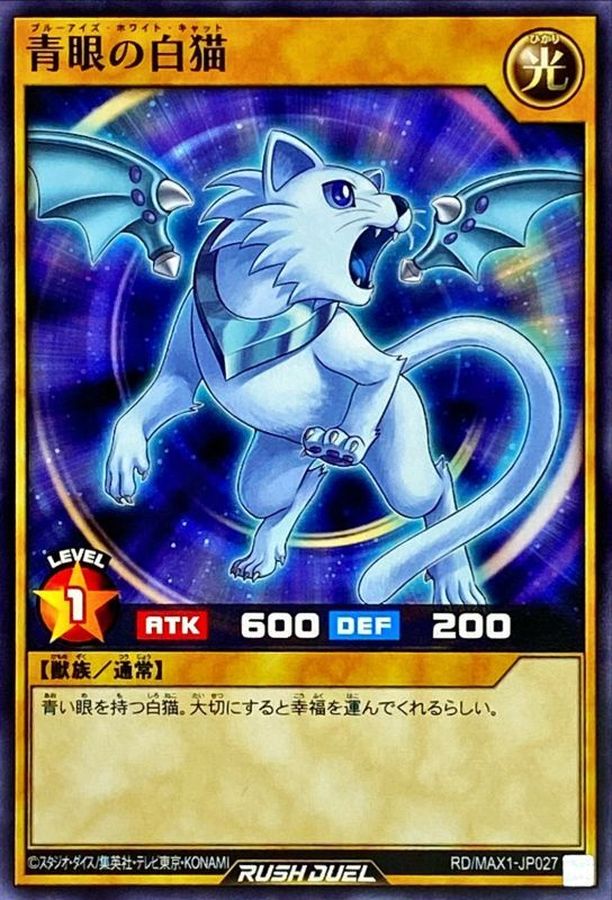 白猫 白猫 白猫 ZX白