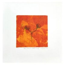 亀山 知英 | ARTE ANELLO作品一覧