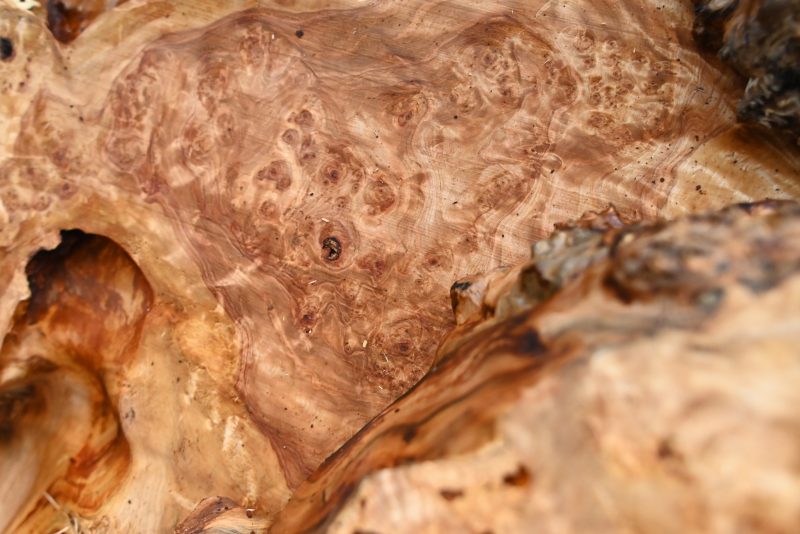 瘤に潜む色々な顔 | 野原工芸｜木まみれ女子の日常