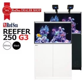 水槽 REEFER,RedSea MAXシリーズ - 海水魚専門店 ceppo onlinestore