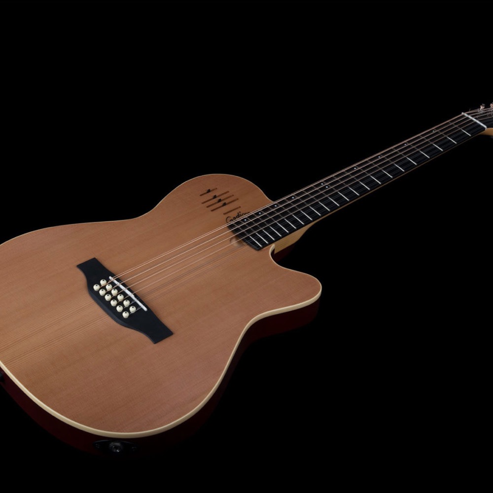 Godin ゴダン A12 Natural SG 12弦 エレクトリックアコースティック