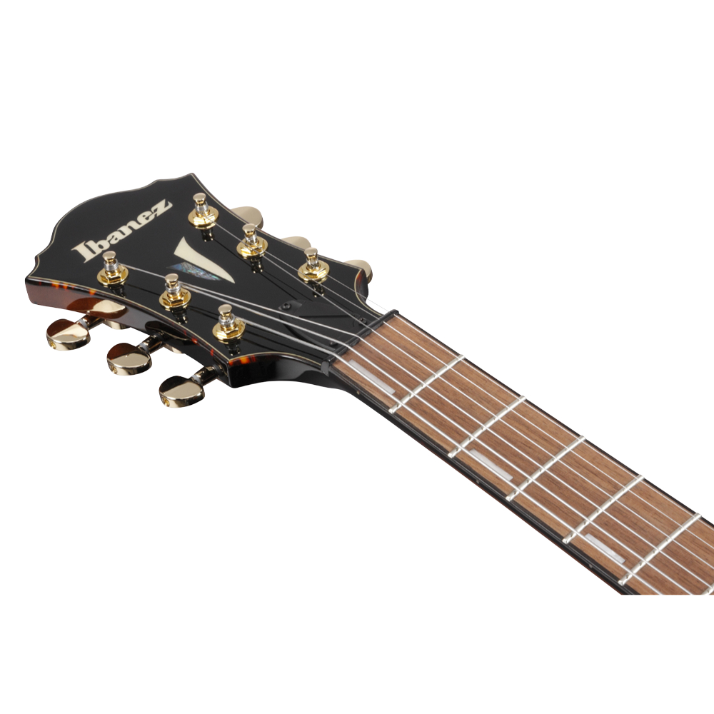 Ibanez アイバニーズ AFC71-VLS Artcore Contemporary Archtop