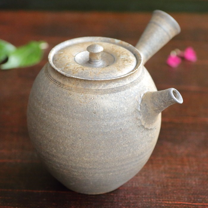 水野陽景 藻掛け急須 満容量270ml 常滑焼煎茶器 共箱