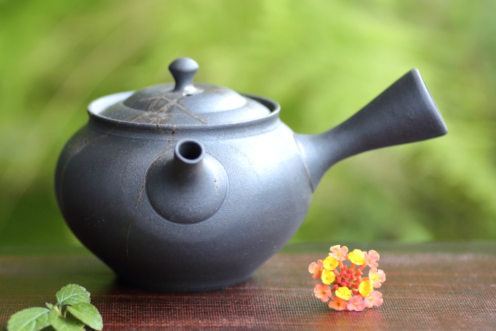 藤田徳太 炭化藻掛け急須 満容量240ml 常滑焼煎茶器 作家ものティーポット