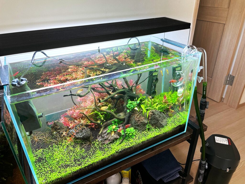 水草も魚もキレイに映える！】30cm水槽用LEDライトおすすめ5選！赤系